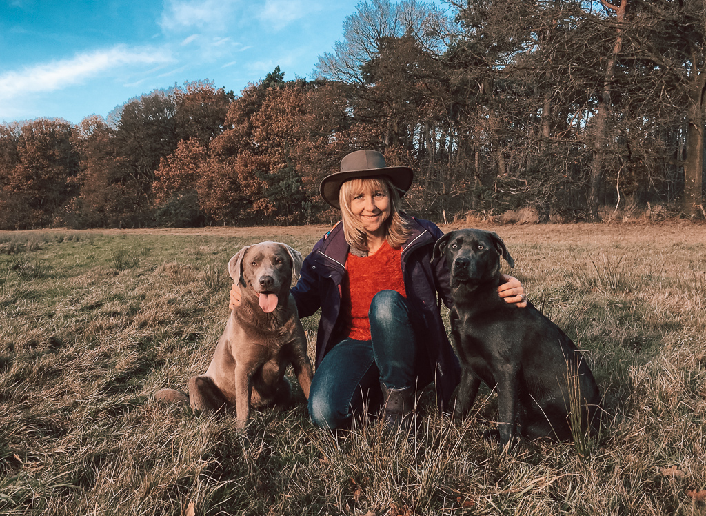 zilveren labrador belgie. the dog academy. an wesenbeek