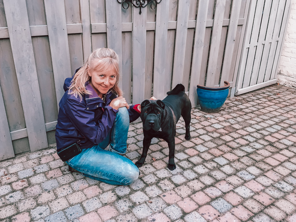 Roosje – leert gehoorzamen in de buurt van andere honden