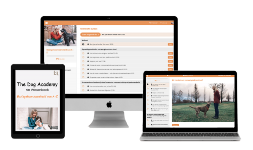 online cursus honden. basisgehoorzaamheid. The dog academy. An Wesenbeek