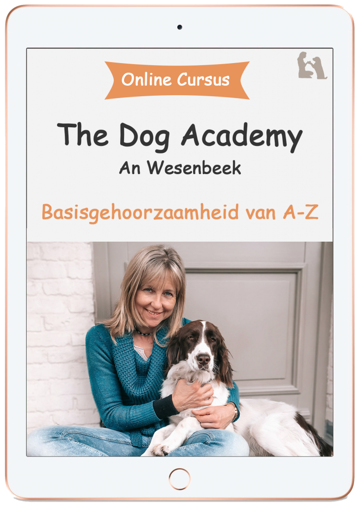 online cursus honden. basisgehoorzaamheid. The dog academy. An Wesenbeek