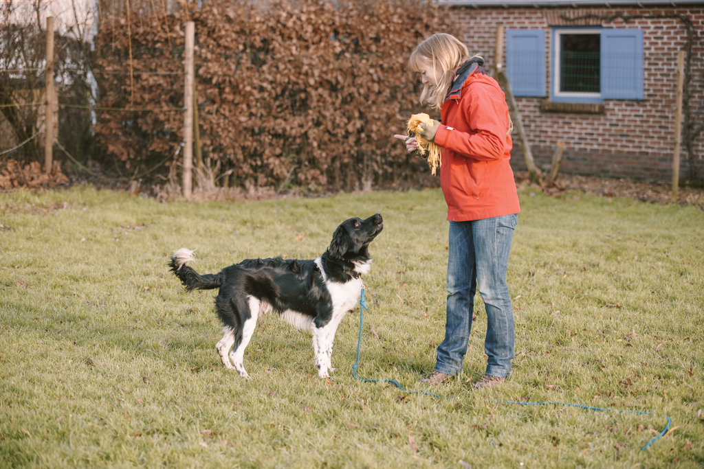 Tipex: respect van je hond verdienen en steelgedrag oplossen