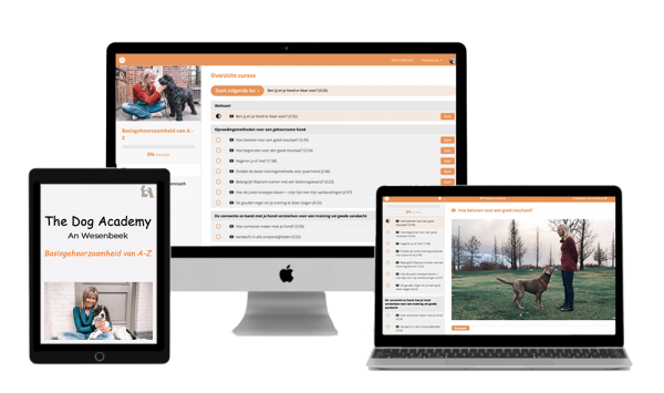 online cursus honden. basisgehoorzaamheid. The dog academy. An Wesenbeek